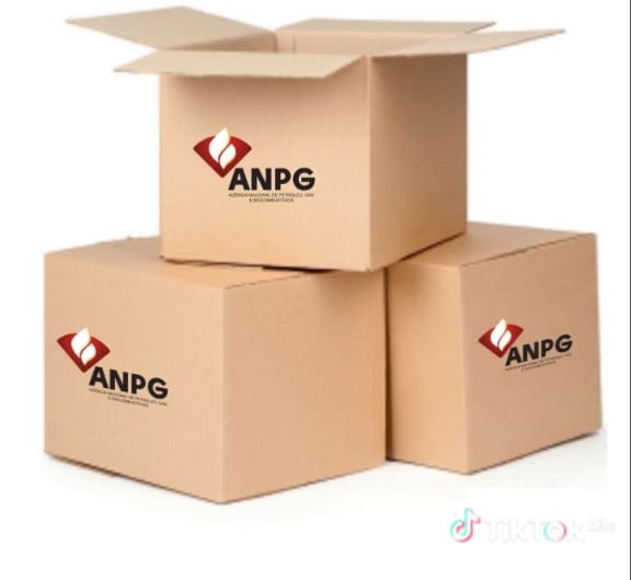 Caixas personalizadas ANPG